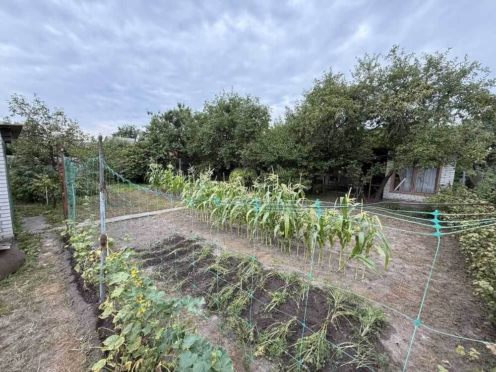 Продажа дома 67 м², Садова