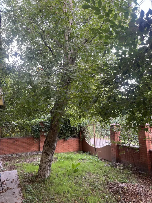 Аренда дома 260 м², Русановская наб.