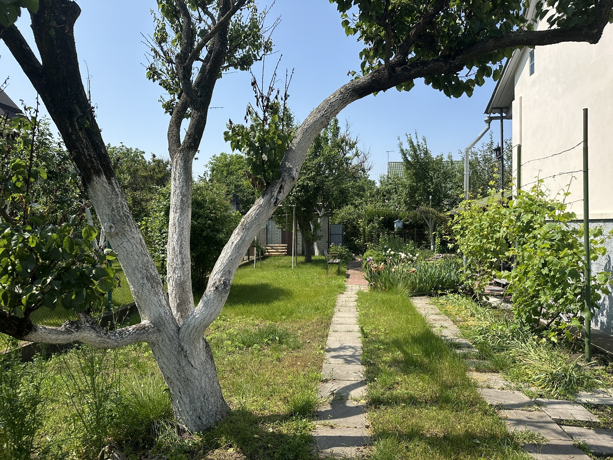 Продажа дачи 90.4 м², Гниден, сад тов Мрия, массив Вишенки, Озерна вул.4