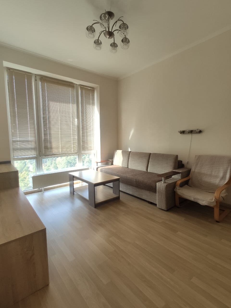 Аренда 1-комнатной квартиры 38 м², Анатолия Петрицкого ул.
