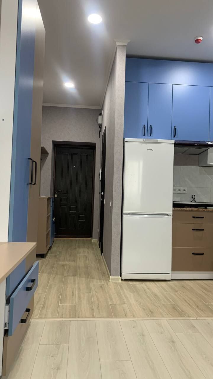 Аренда 1-комнатной квартиры 26 м², Красноткацкая ул., 93