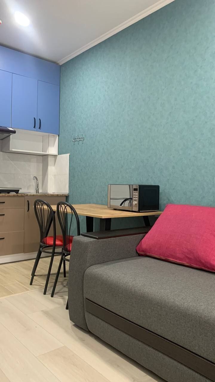 Аренда 1-комнатной квартиры 26 м², Красноткацкая ул., 93