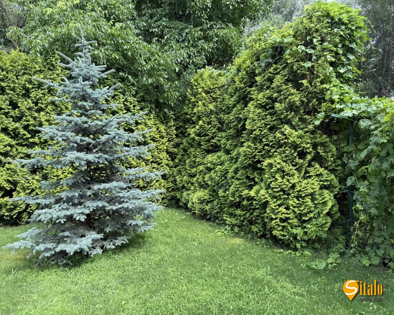 Продажа дома 250 м², 49-я Садовая ул.