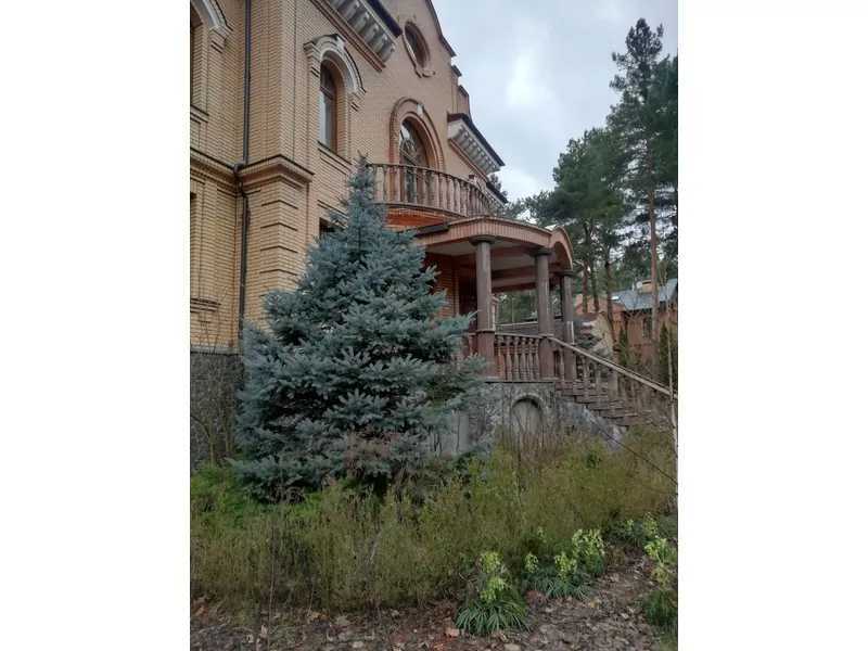 Продажа дома 974.2 м², Солов яненка, 12
