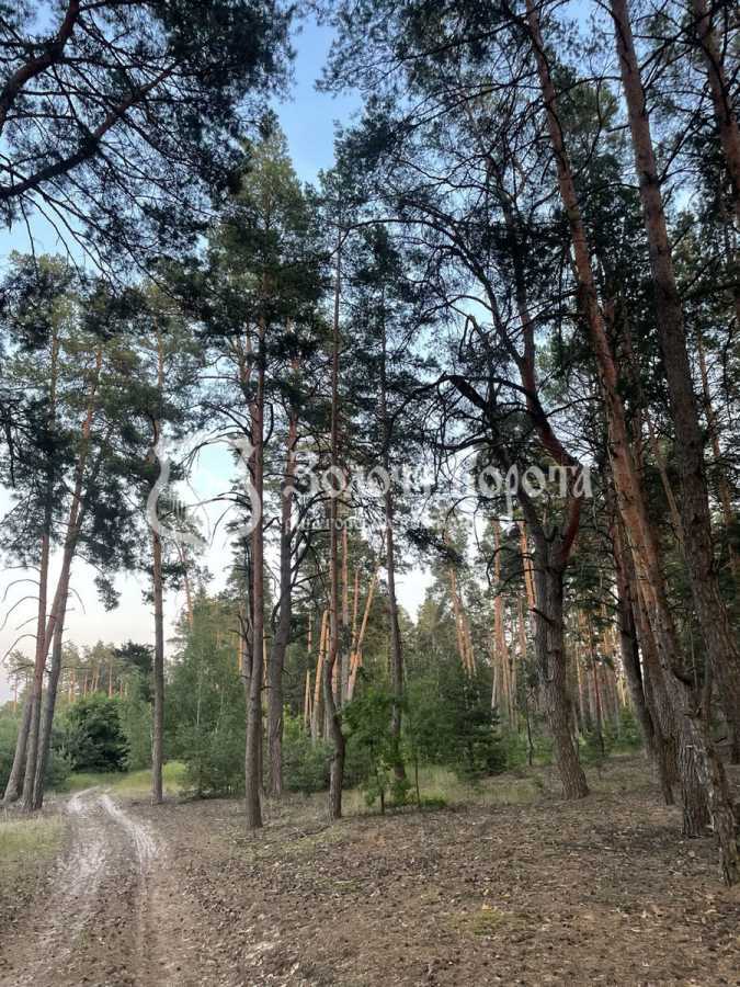 Продаж ділянки під індивідуальне житлове будівництво 12 соток, Шевченка