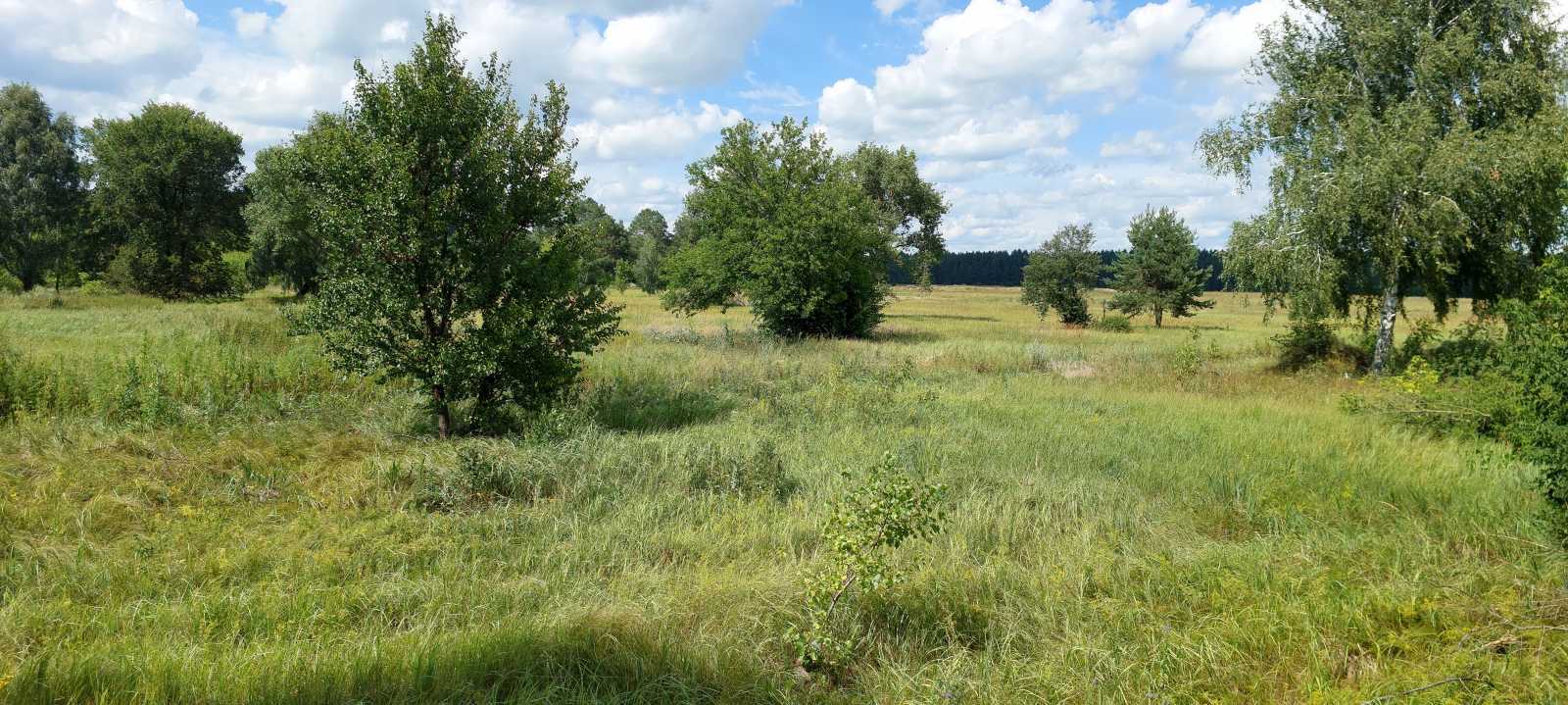 Продажа участка для личного сельского хозяйства 800 соток, Одинця