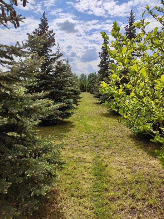 Аренда дома 145 м²