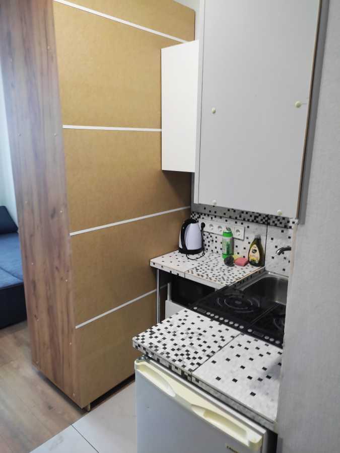 Аренда 1-комнатной квартиры 20 м², Семьи Стешенко ул., 9