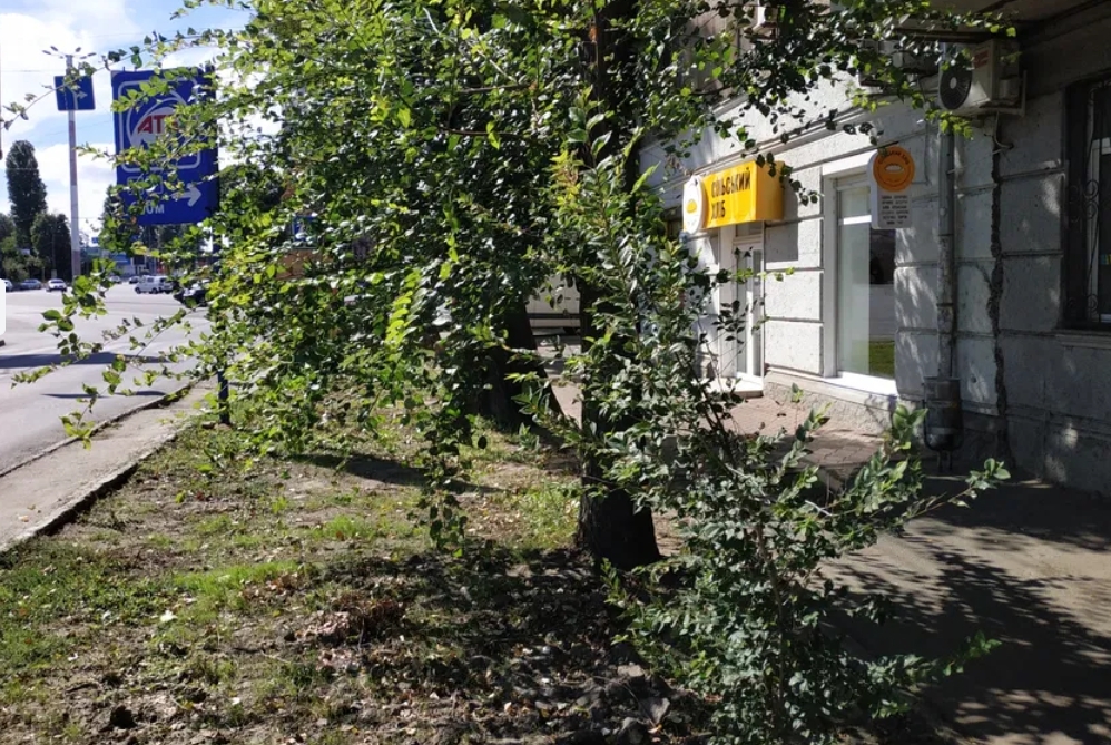 Оренда приміщення вільного призначення 84 м², Гагарина просп.