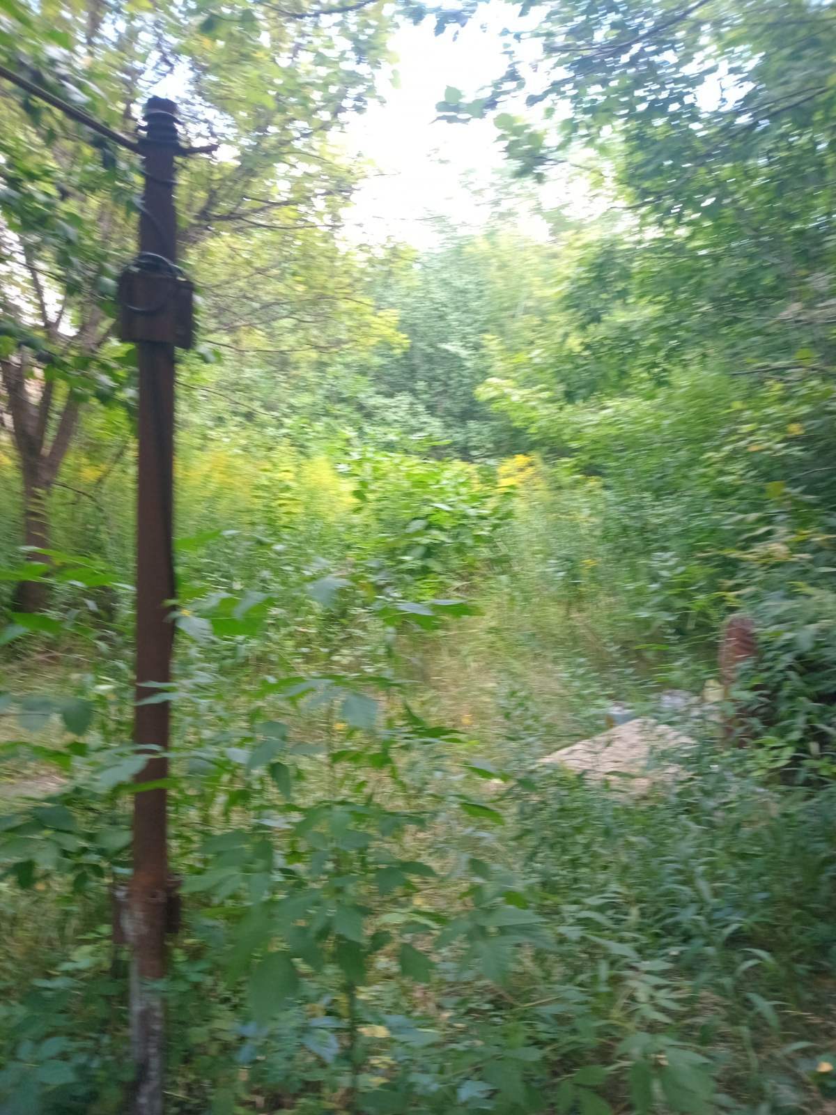 Продаж ділянки під рослинництво 6 соток