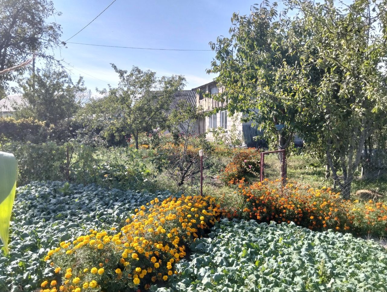Продажа дома 94.6 м², Покровская ул., 218а