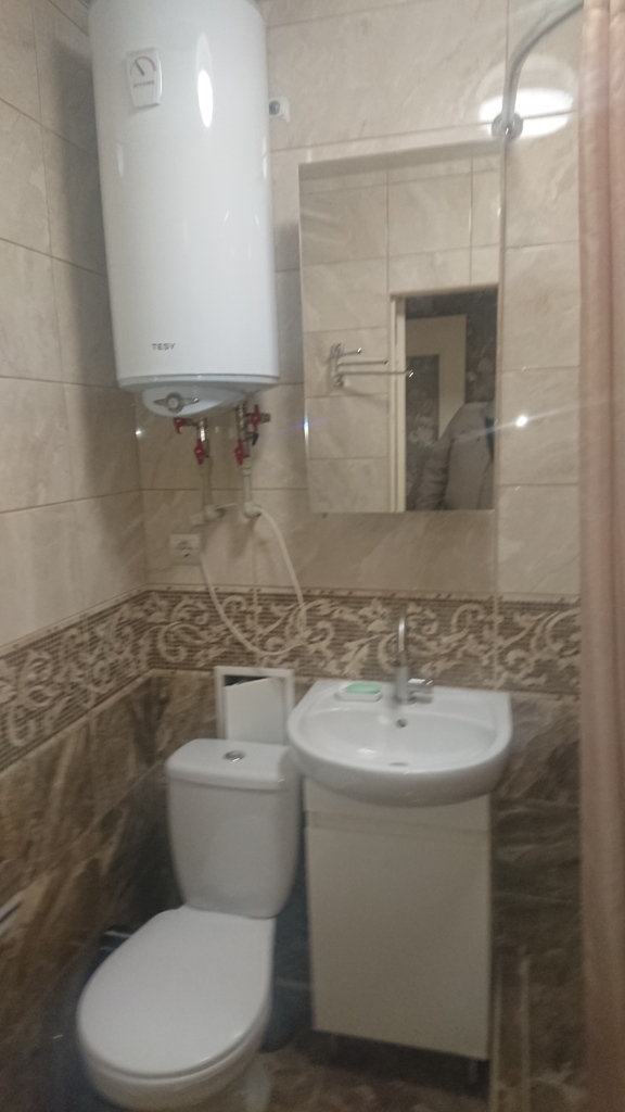 Оренда 1-кімнатної квартири 30 м², Софії Русовой вул., 6