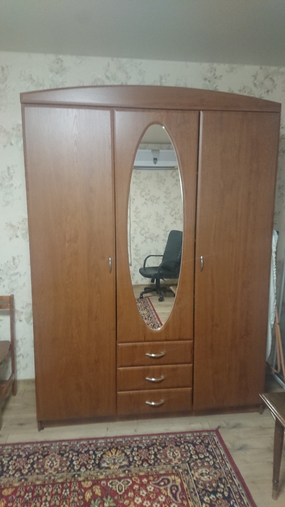 Оренда 1-кімнатної квартири 30 м², Софії Русовой вул., 6