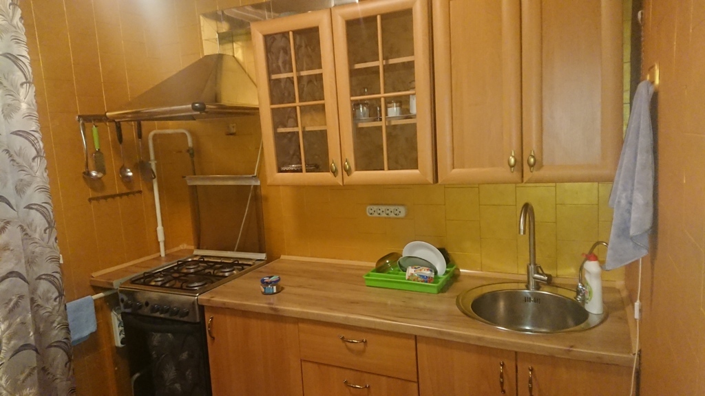 Оренда 1-кімнатної квартири 30 м², Софії Русовой вул., 6