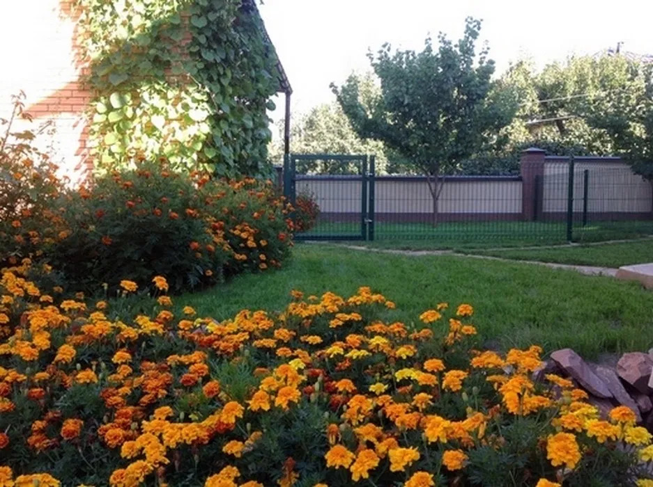 Оренда будинку 150 м², Добрий Шлях вул.
