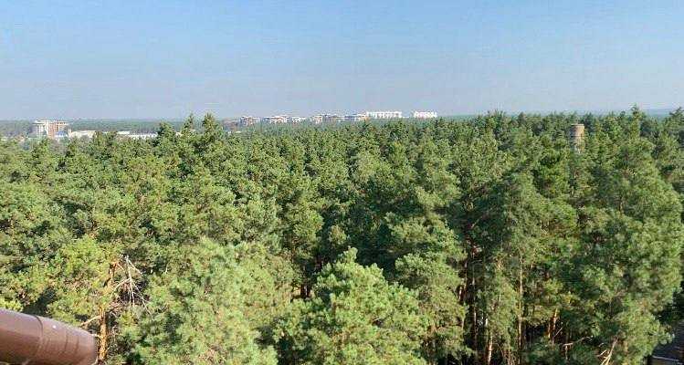 Продажа 2-комнатной квартиры 83 м², 11-я Линия ул., 4