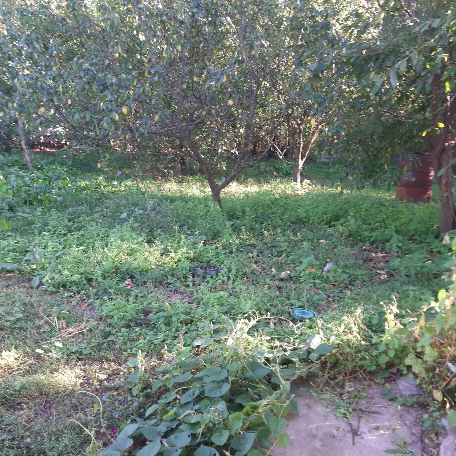 Продажа дома 91.2 м²