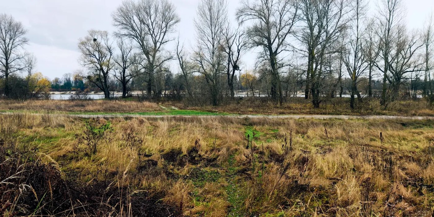 Продаж ділянки під індивідуальне житлове будівництво 20 соток