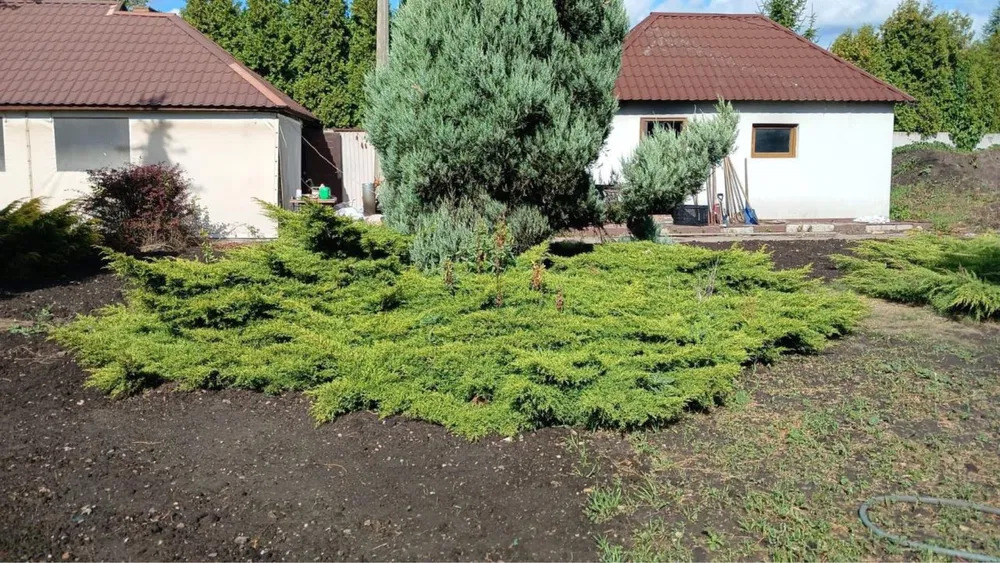 Аренда дома 507 м², Алимпия Галика (Малоземельная) ул.