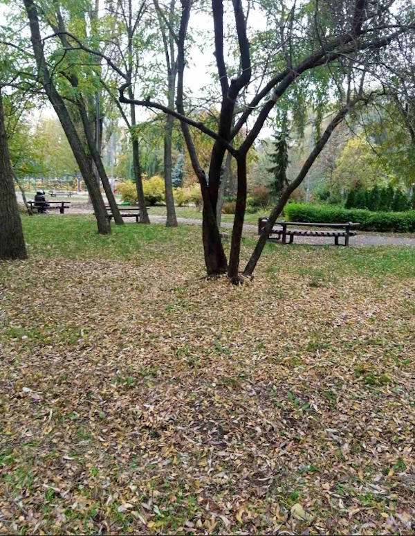 Оренда 1-кімнатної квартири 38 м², Теремківська вул., 2Г