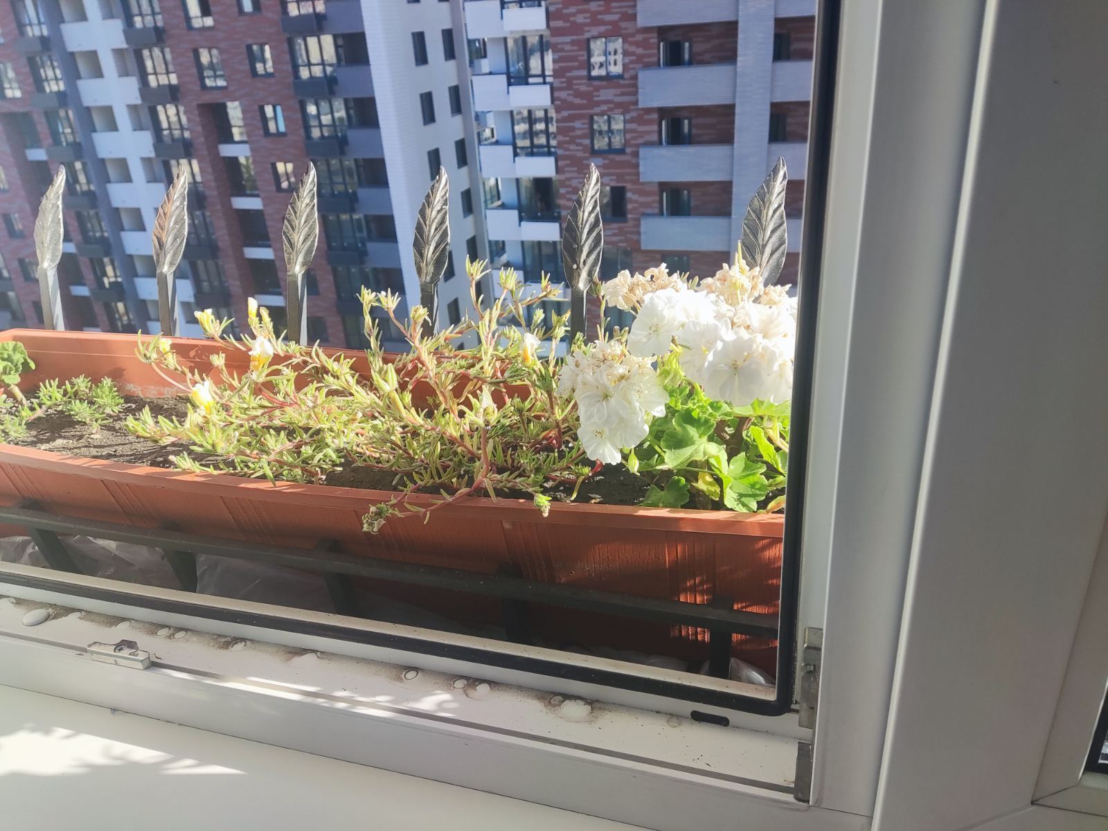 Аренда 1-комнатной квартиры 50.3 м², Валерия Лобановского просп., 150Д