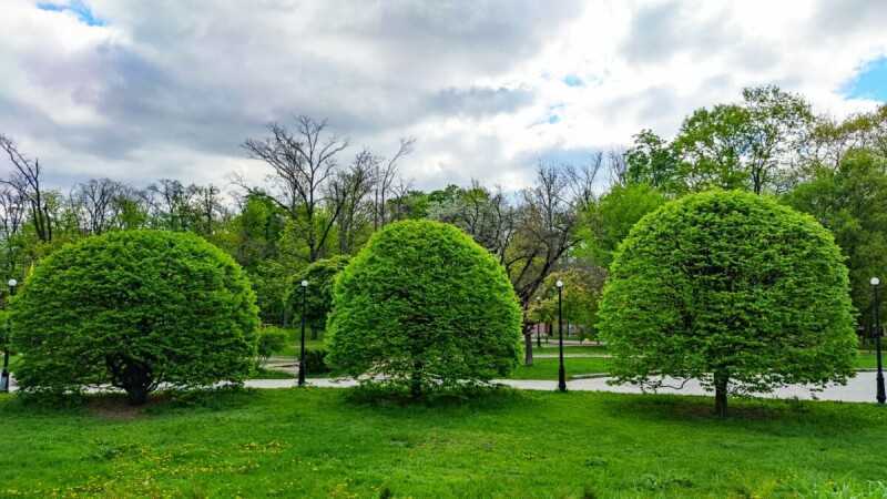 Оренда 2-кімнатної квартири 51 м², Михайла Донця вул., Ломоносова, 8