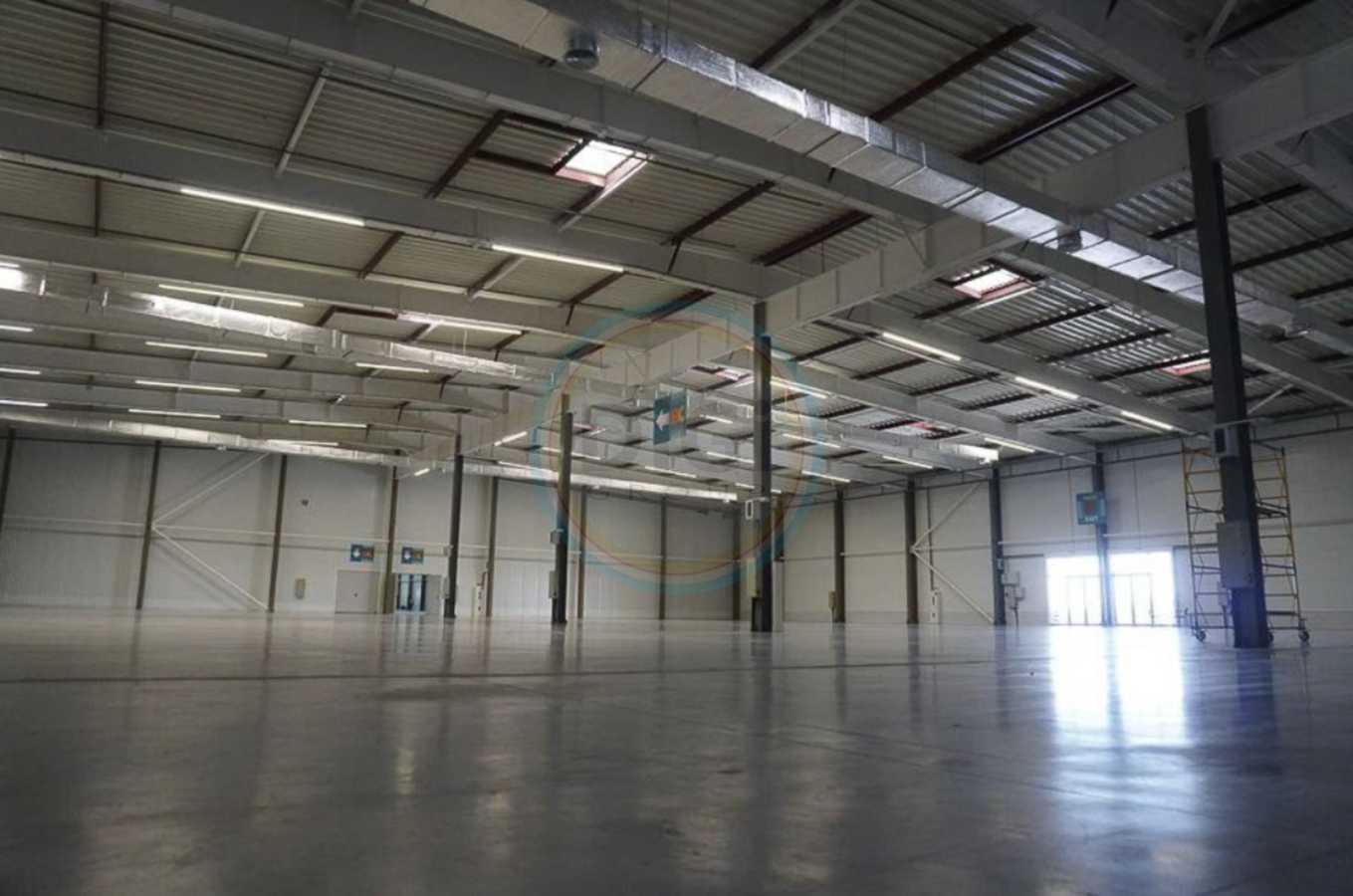 Аренда склада 6000 м², Лесі Українки