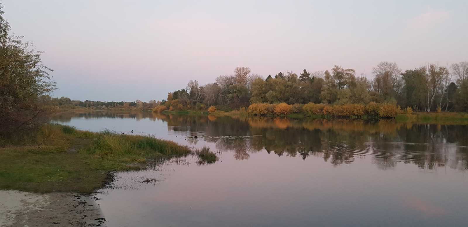 Аренда дома 190 м², Авіатор, 12