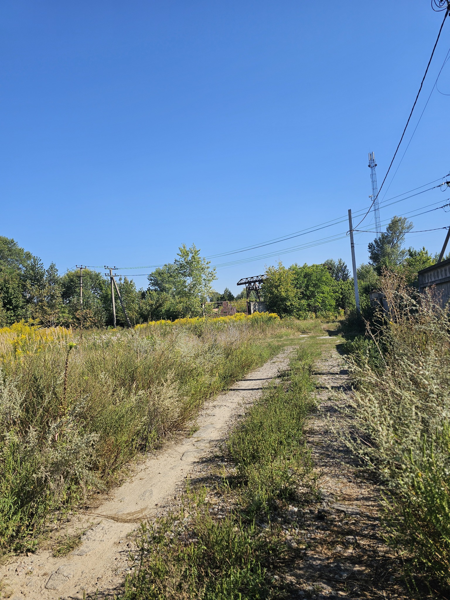 Продажа участка для личного сельского хозяйства 10 соток