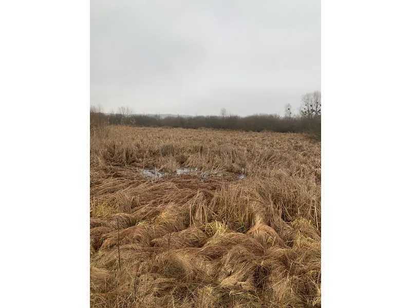 Продаж ділянки для особистого сільського господарства 200 соток