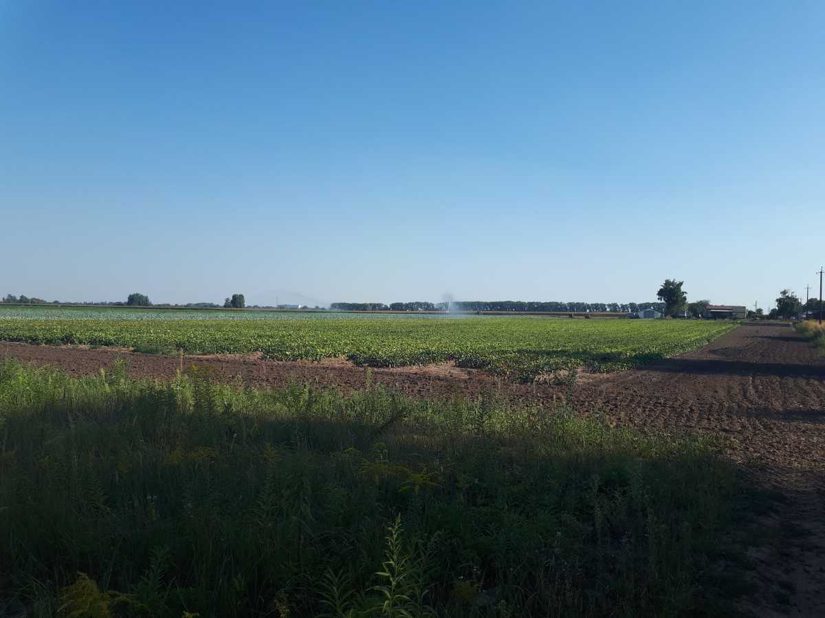 Продаж ділянки для особистого сільського господарства 377 соток, б/н