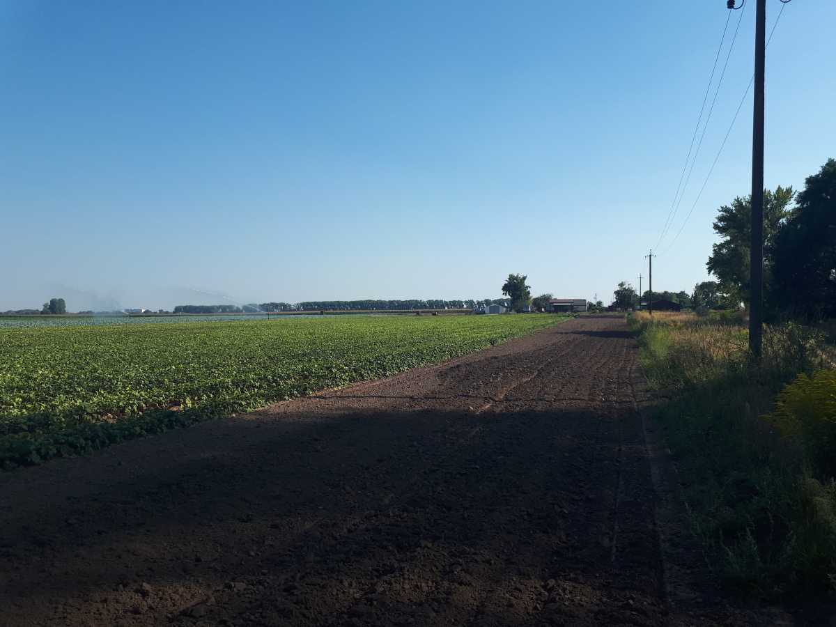 Продаж ділянки для особистого сільського господарства 377 соток, б/н