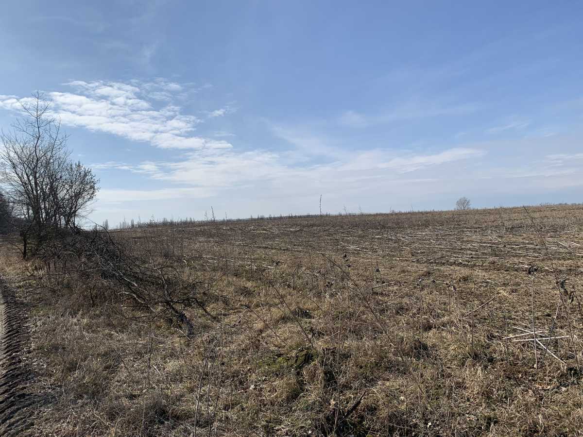 Продаж ділянки для особистого сільського господарства 200 соток, Глибоцька с/р