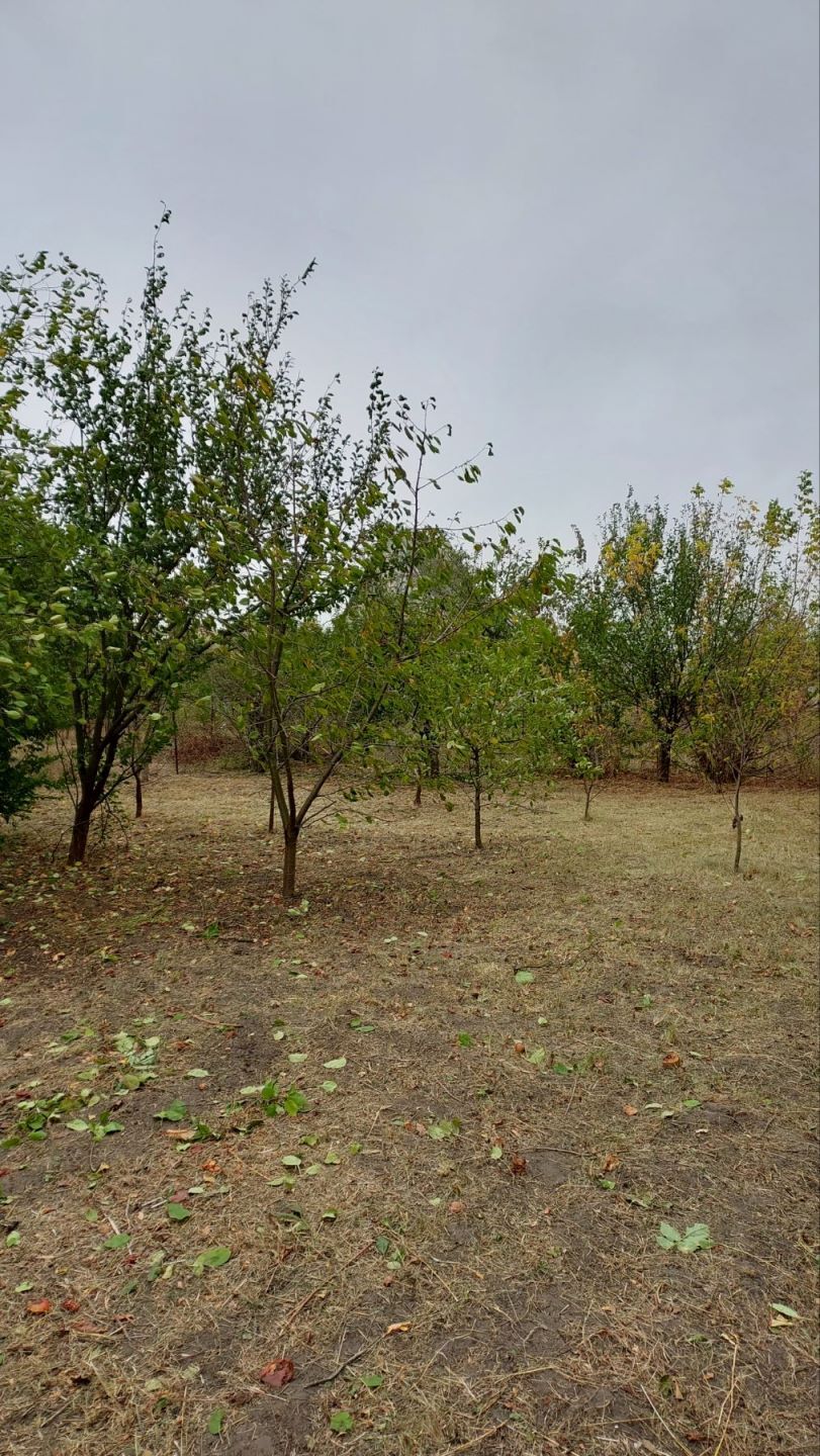 Продажа дачи 45 м²