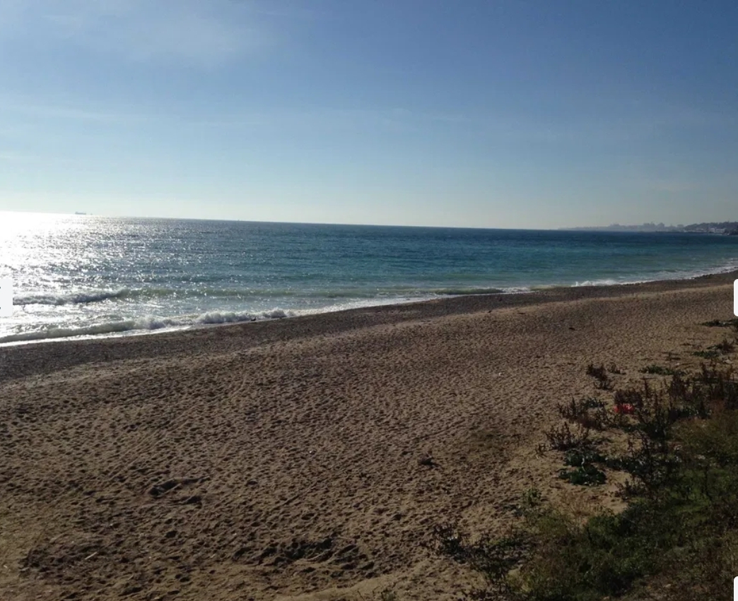 Аренда дома 65 м², Дача Ковалевского ул.