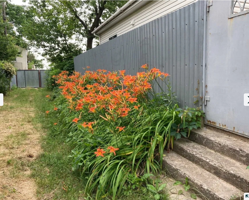 Аренда дома 65 м², Дача Ковалевского ул.