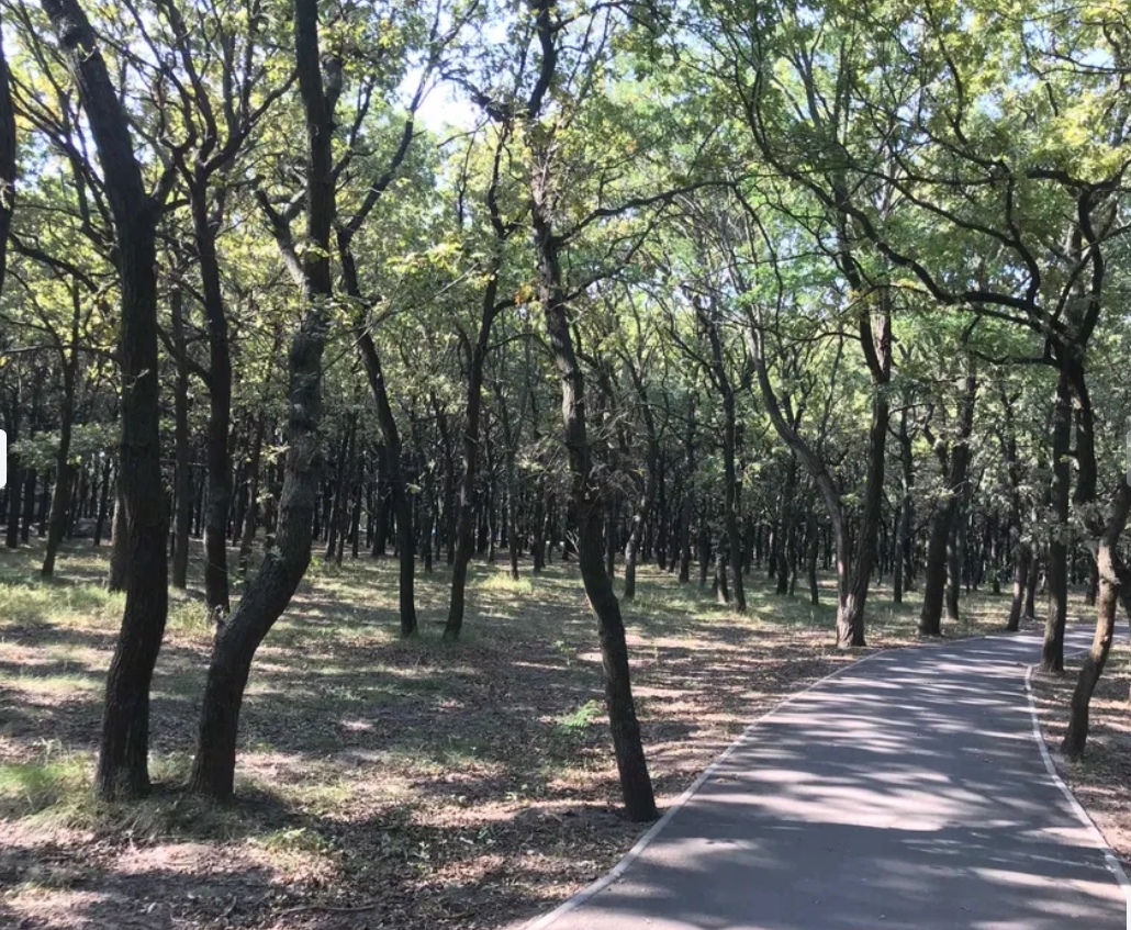 Аренда дома 65 м², Дача Ковалевского ул.