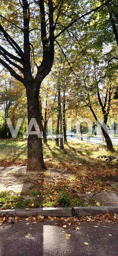 Продажа 2-комнатной квартиры 45.6 м², Литвиненко-Вольгемут ул., 1Б