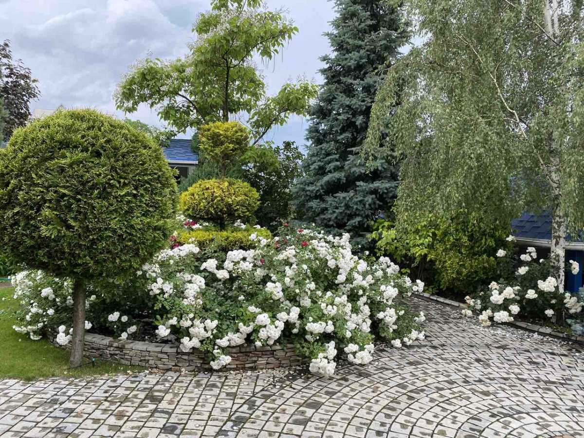 Продаж будинку 257 м², Далека вул.