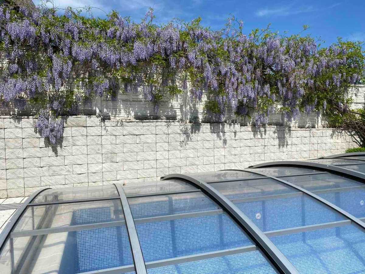 Продаж будинку 257 м², Далека вул.