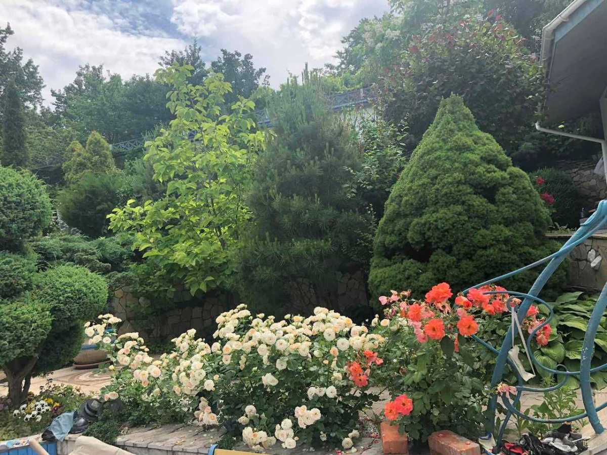 Продаж будинку 257 м², Далека вул.