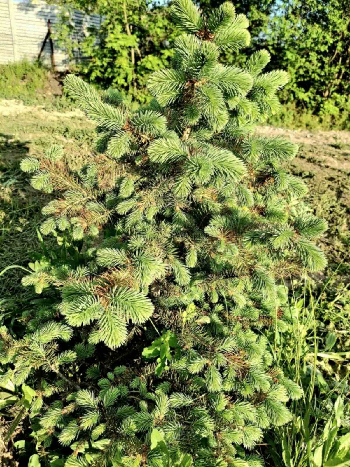 Продаж будинку 252 м², Високогірна вул.