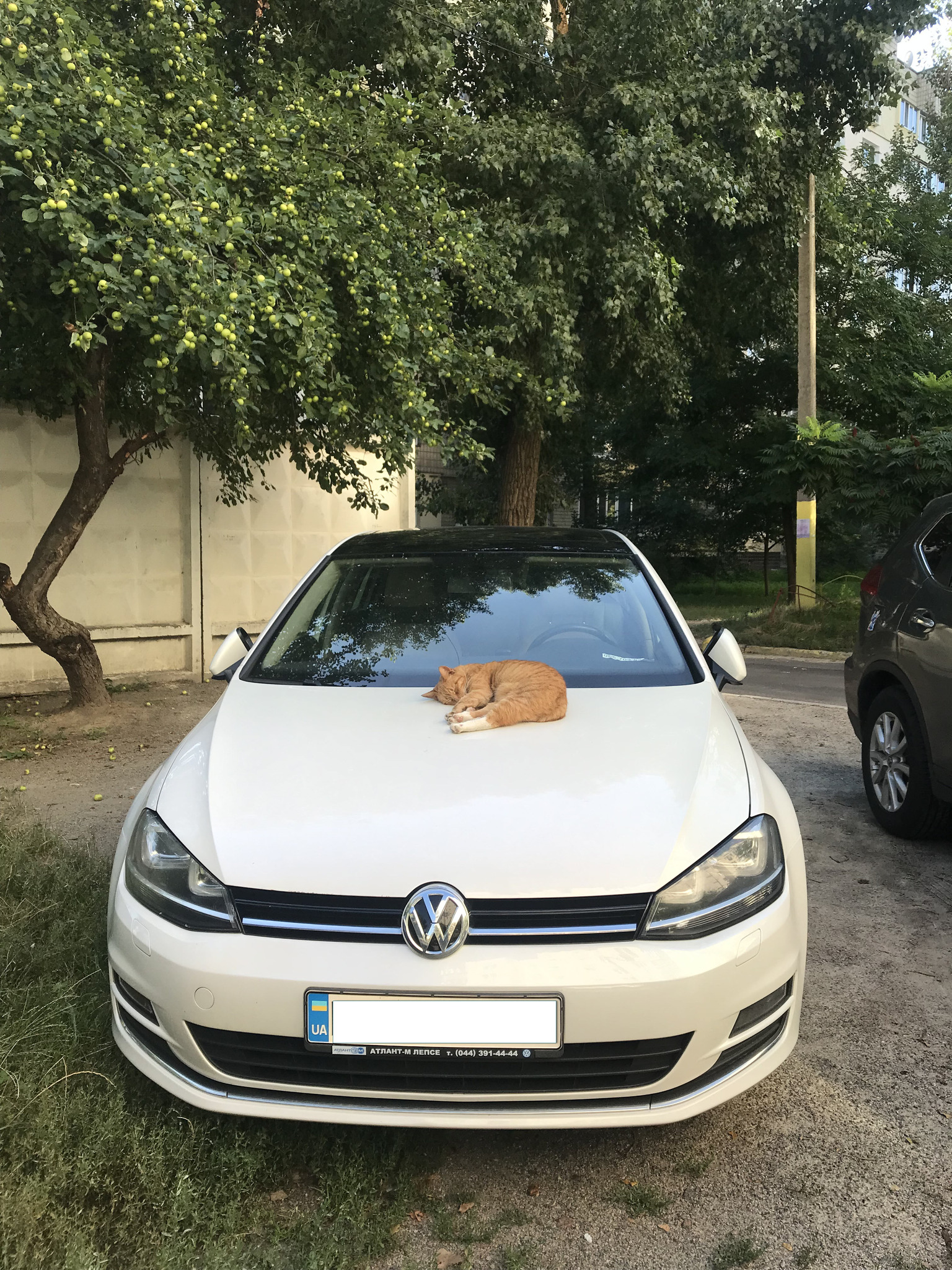 Продажа 2-комнатной квартиры 51 м², Дегтяревская ул., 30В