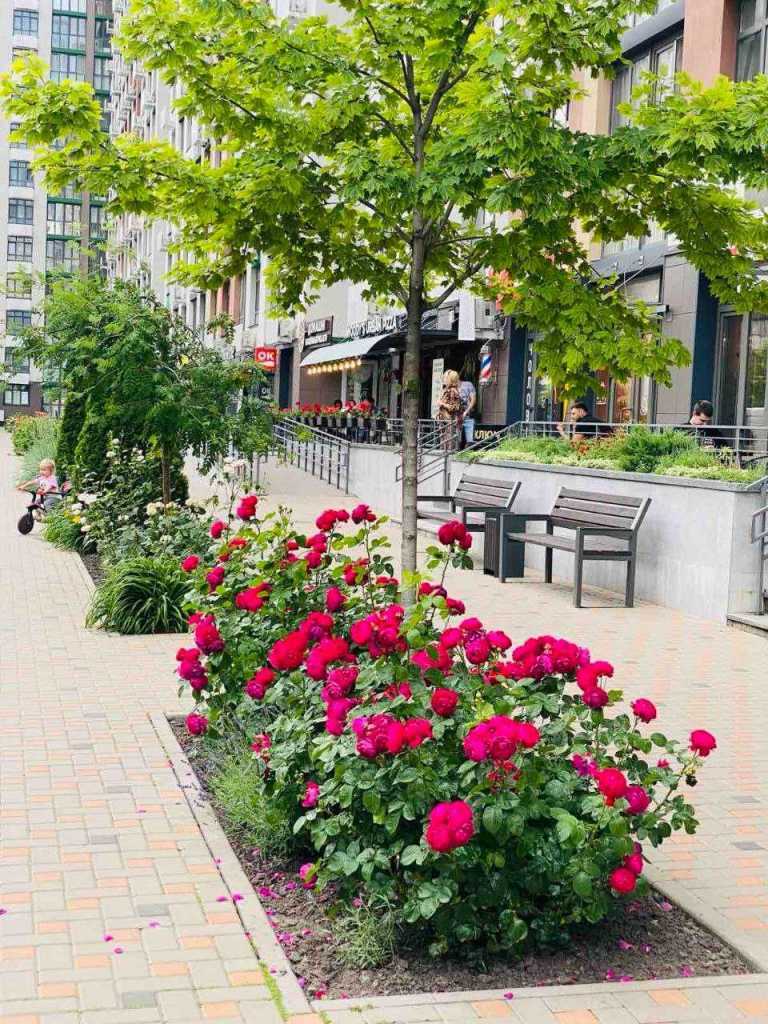 Продажа 3-комнатной квартиры 93 м², Тираспольская ул., 52