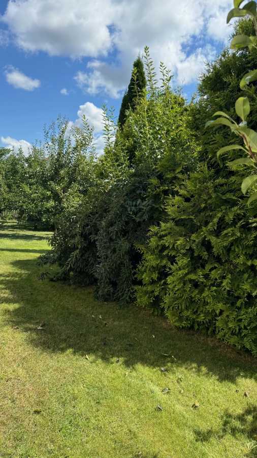 Аренда дома 200 м², Прилуцкая ул.