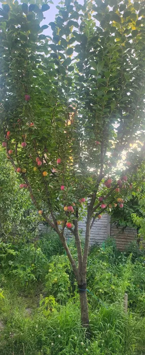 Продаж будинку 135 м²