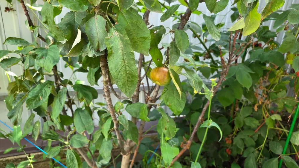 Продаж будинку 135 м²