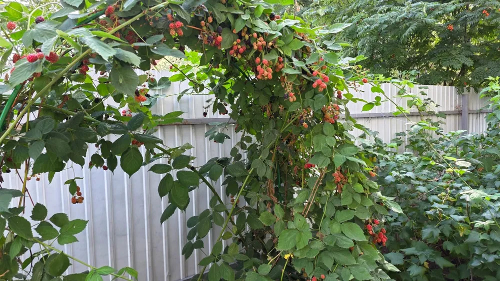 Продаж будинку 135 м²