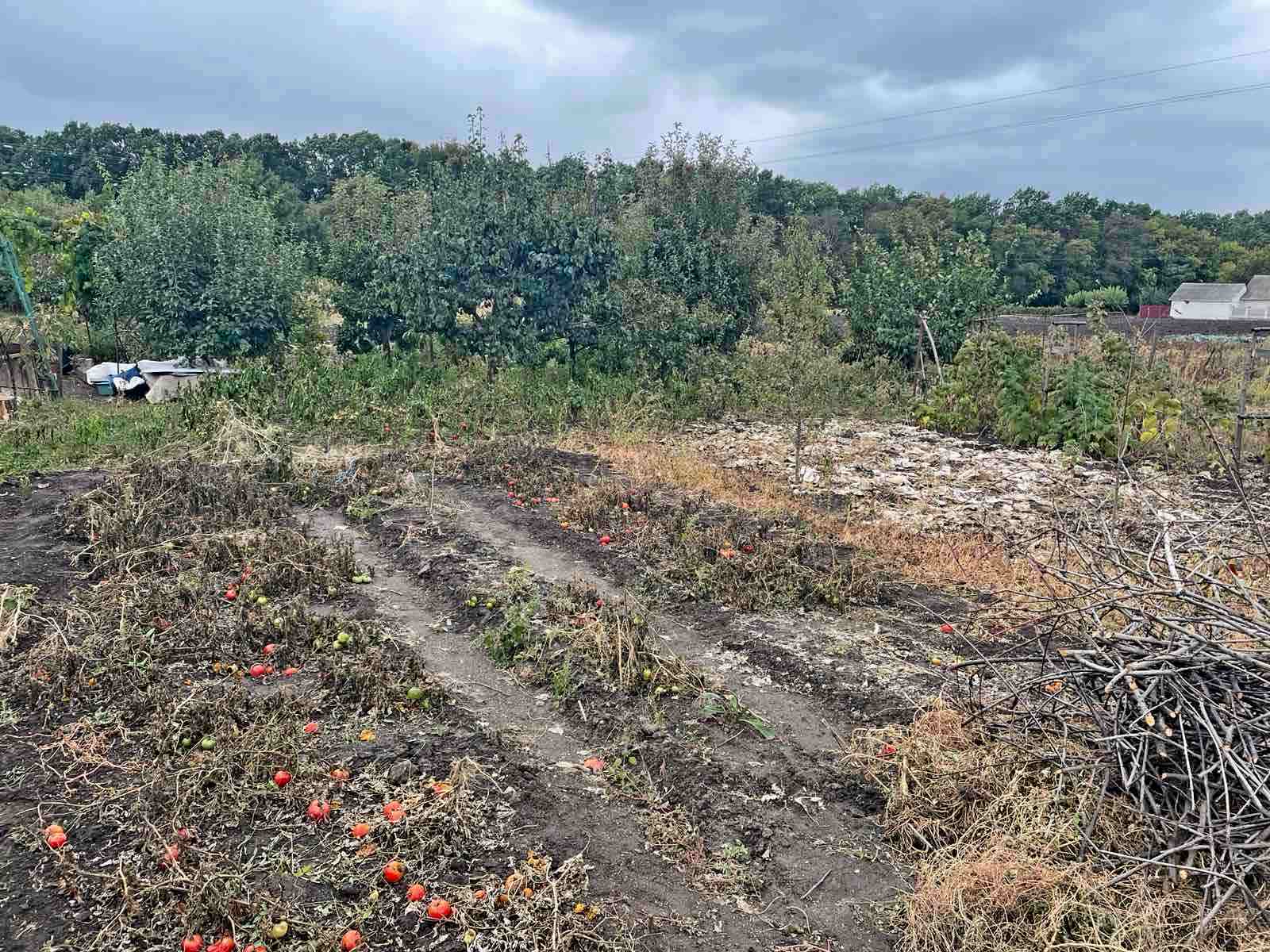 Продажа дома 75 м²