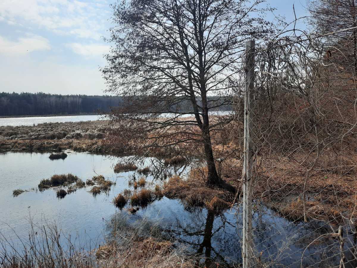 Продаж ділянки під індивідуальне житлове будівництво 8 соток, Обухівська вул.